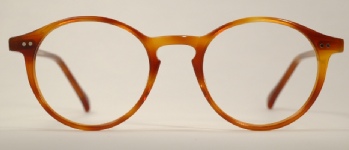 PLASTIC VINTAGE EYEGLASSES FRONT photo, under 350 kb