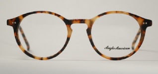PLASTIC VINTAGE EYEGLASSES FRONT photo, under 350 kb