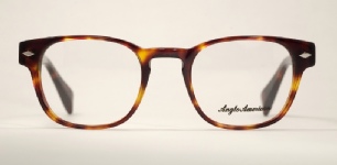 PLASTIC VINTAGE EYEGLASSES FRONT photo, under 350 kb