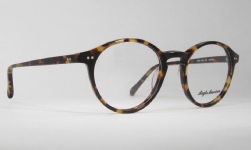 PLASTIC VINTAGE EYEGLASSES HINGE photo, under 350 kb
