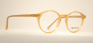 PLASTIC VINTAGE EYEGLASSES HINGE photo, under 350 kb